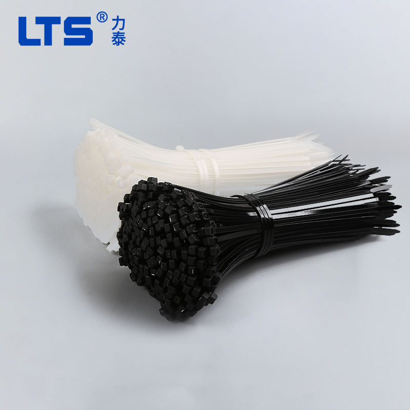 黑白自鎖式尼龍?jiān)鷰?></a>
                                            </div>
                                            <div   id=